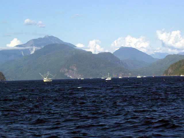 Fishing Boats in Johnston Strait