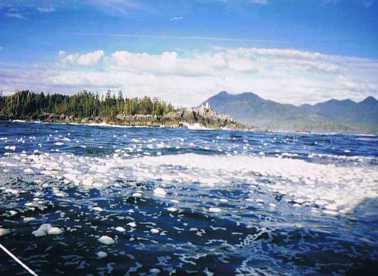 Picture of foam off Barney Rocks