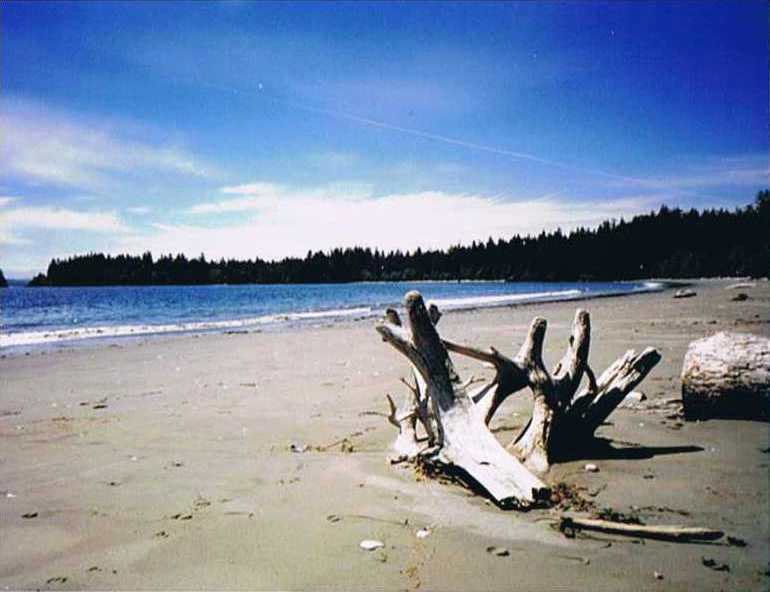 Picture of Whitesand Beach