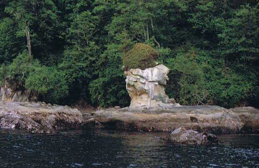 Shore West of Piller Point, Strait of Juan de Fuca